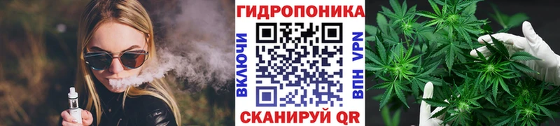 Бошки Шишки Amnesia Кемерово